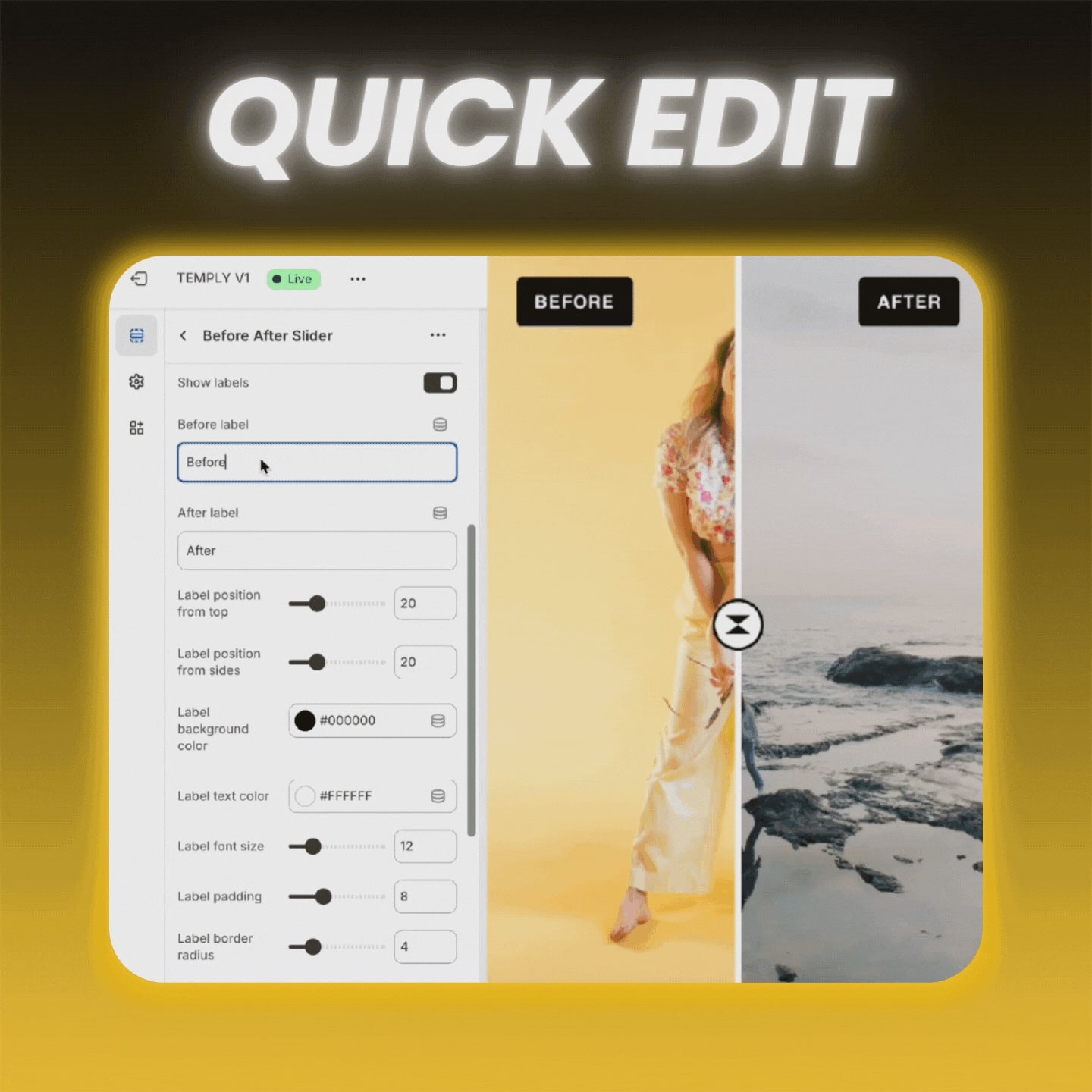 AI Pagebuilder Theme
